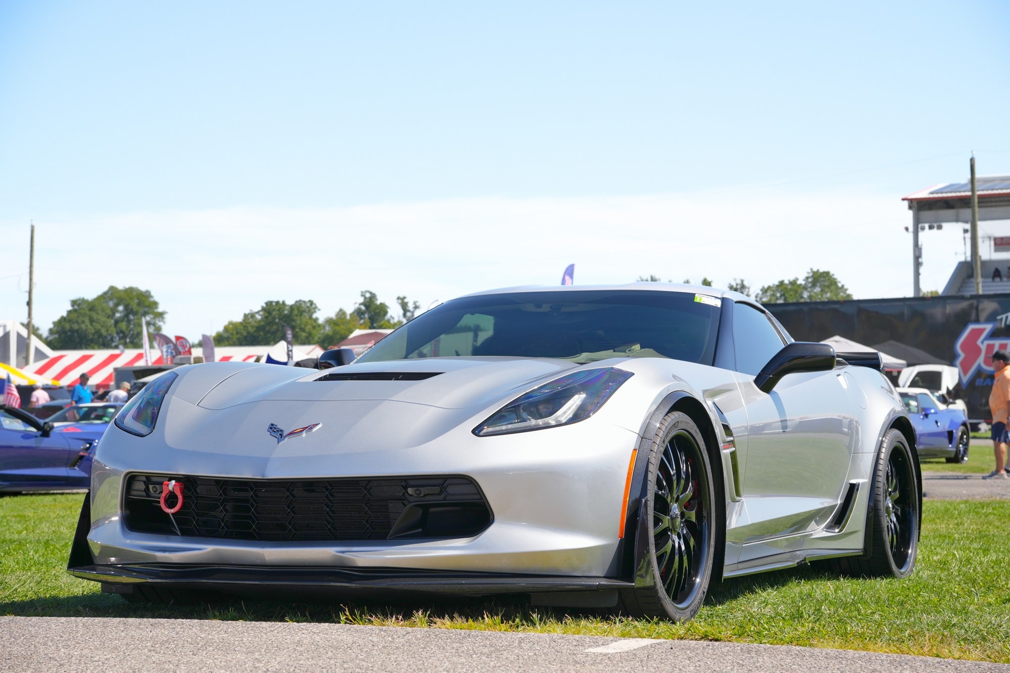 Silver Corvette portrait